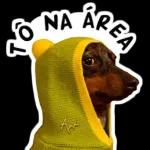 NA то ÁREA Ant 