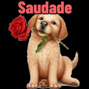 JJSab8
