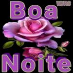 Bom
Dia!