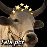 Adesivos divertidos