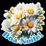 Bom Dia 