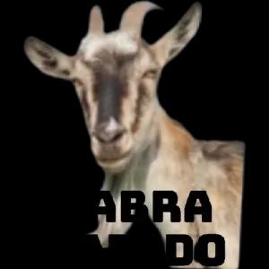 43XWZO