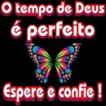  Deus no
controle