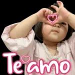 amo amo