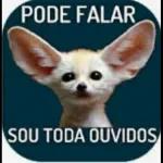 pacote 02