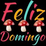 Feliz domingo