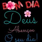 pacote
