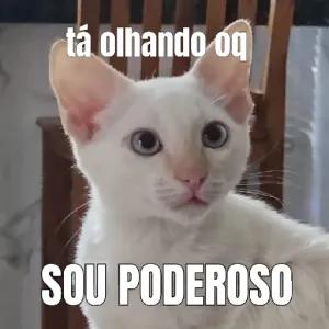 N4UsRH
