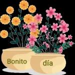 Bom dia 