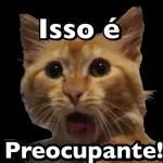 Bom dia 🌞