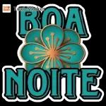 Boa noite 3