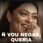 Ñ VOU NEGAR, QUERIA
