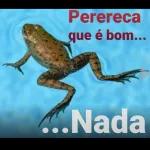 "PAU NA BONECA” 