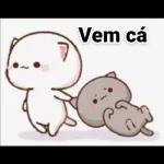 GOSTOSA