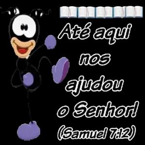 VE6qyb