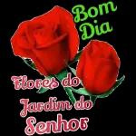 Boa Noite 