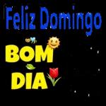 domingo 