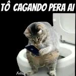 memes 