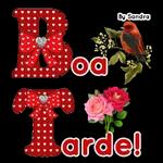 XEROO 