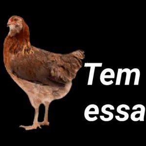 bNCBew