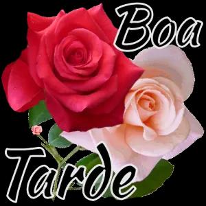 Boa Dame Tarde  - getsticker.com