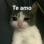 🥰 minha 