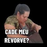CADE MEU REVORVE?