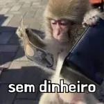Macaco🐒🥭