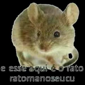 cOdfsk