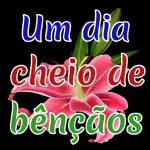 bão dia 