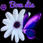Bom dia 🌞