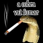 adesivo 