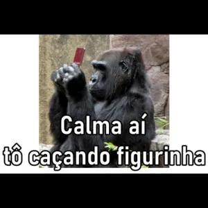 1aIBMy