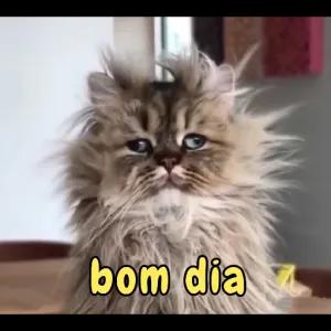 AIkWz1