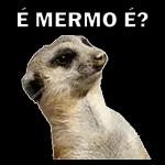 É mermo é?🤔