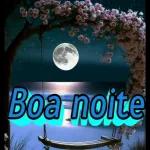 pacote inteli...