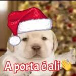 Natal, lá vou eu!!🏍️