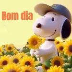 Bom Dia 