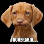 BOM DIA A TODOS DOV GRUPO 