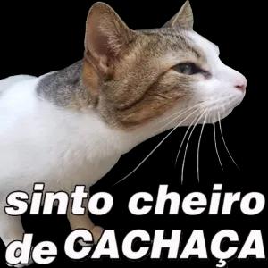 rP1VyV
