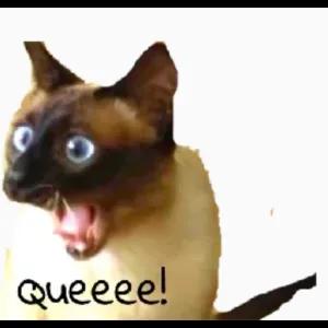 Queeeee! - getsticker.com