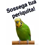 umbanda