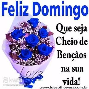 Feliz Domingo Que seja Cheio de Bençãos na sua vida! www.loveofflowers.com.br - getsticker.com