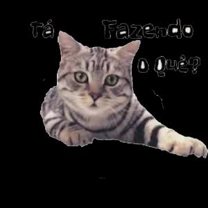 Tá Fazendo o Quê? 1 - getsticker.com