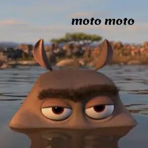 Vyo2EM