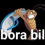bora bill