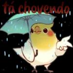 Chuva ☔️☔️