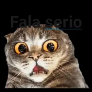 Fala serio - getsticker.com