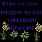 Jesus e o caminho