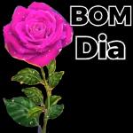 bom dia, boa tarde